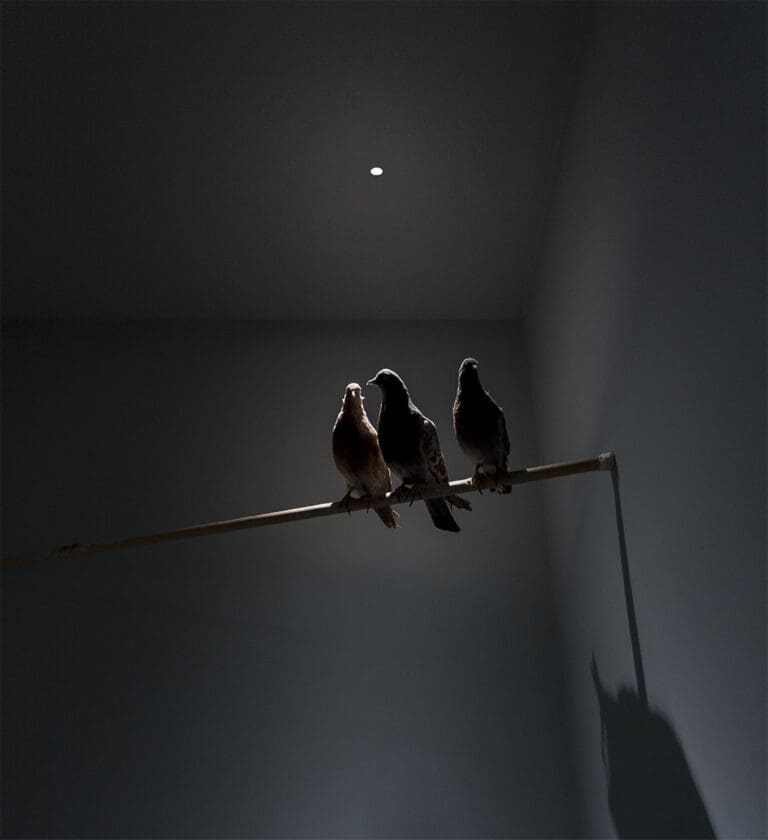 Spot incastrat Nulla Davide Groppi.10