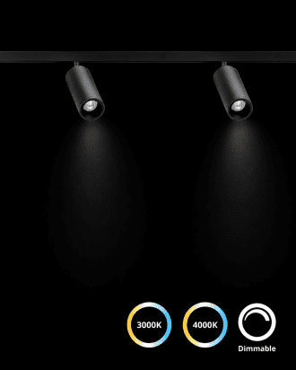 Track Light Kit with 2 spots and 2 lines